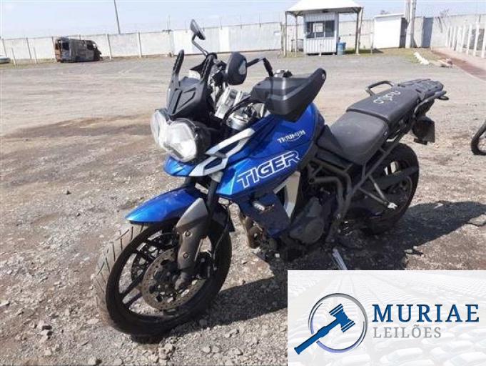 TRIUMPH TIGER 800 19/19
