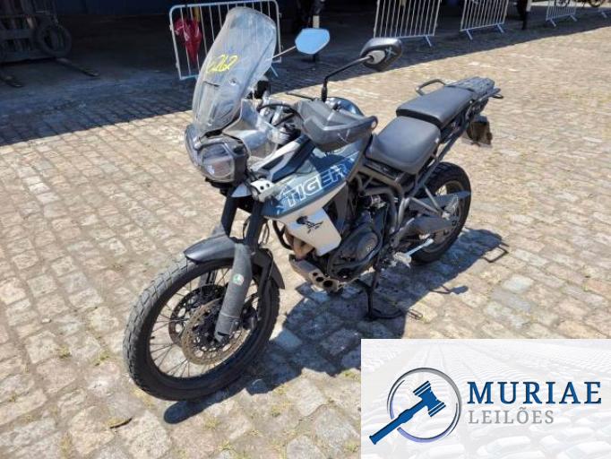 TRIUMPH TIGER 800 19/19