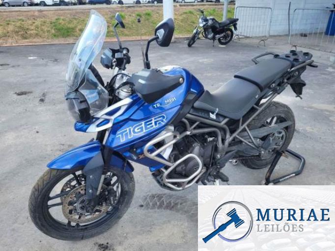 TRIUMPH TIGER 800 19/19
