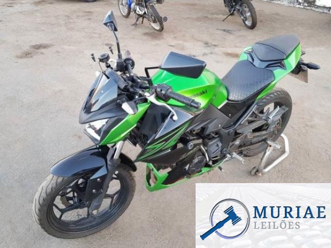 KAWASAKI Z300 15/16